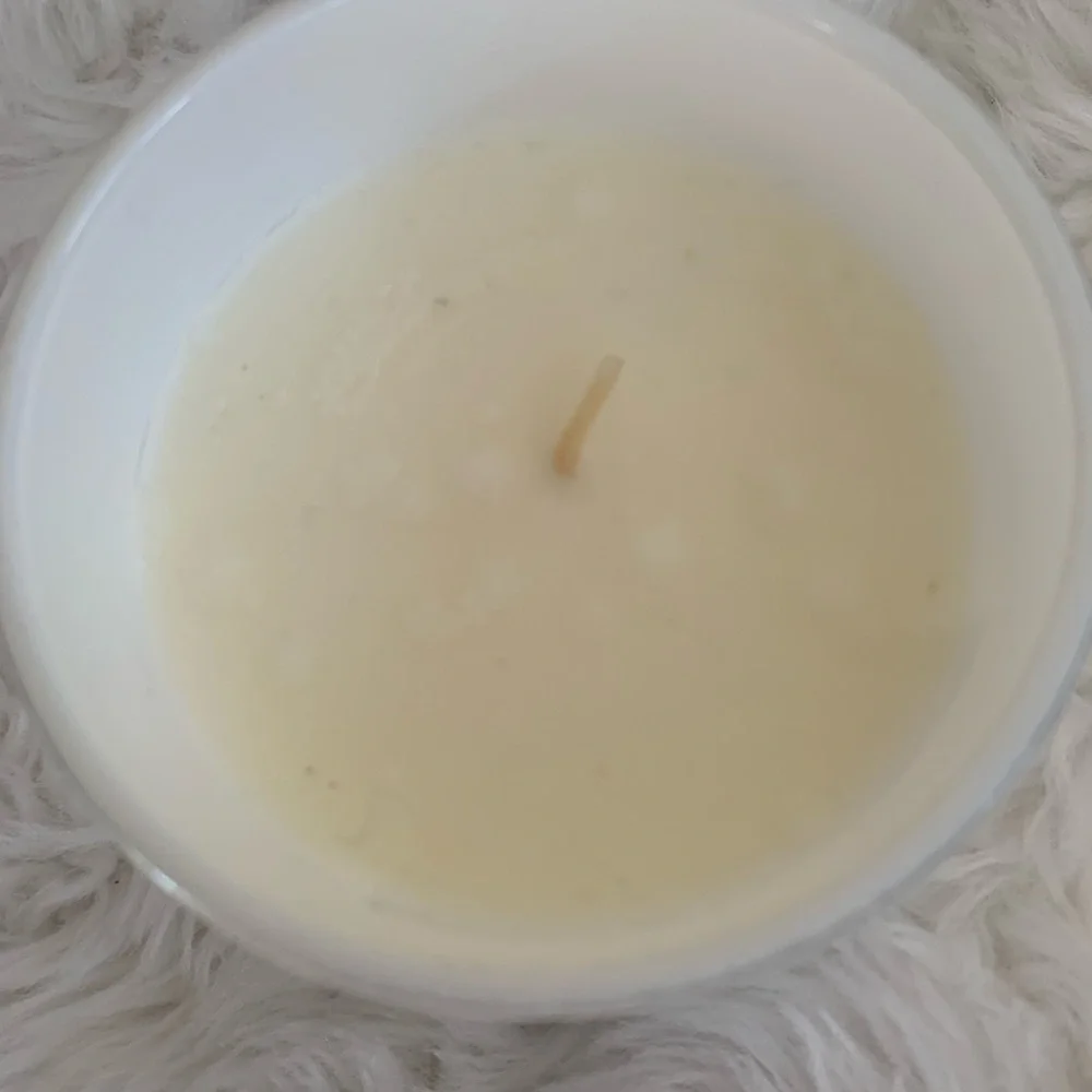 RED LEAF HOME Aromatherapy Stress Relief Waterlily & Aloe 1wick candle NWT